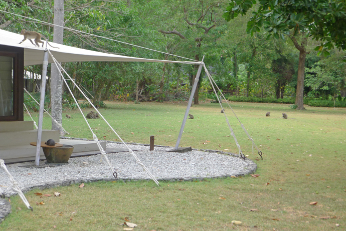 c0147790_10234732.jpg