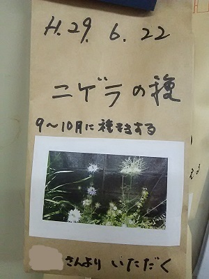 b0266191_11045189.jpg