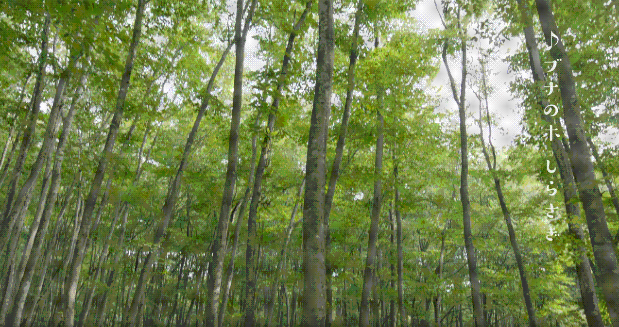 e0199691_01064594.gif