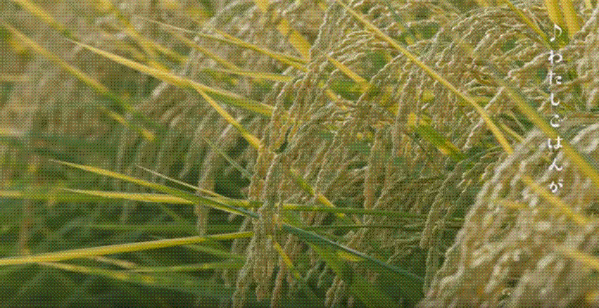e0199691_01075507.gif