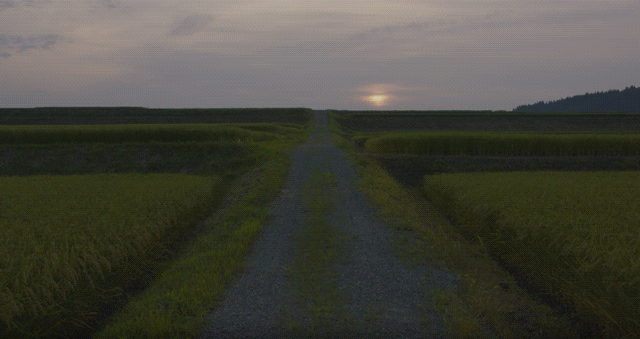 e0199691_01082139.gif