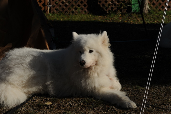 a0049296_20115297.jpg