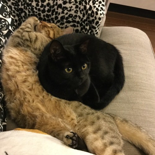 ベスト (2) (^_^;)_e0358096_15210271.jpeg
