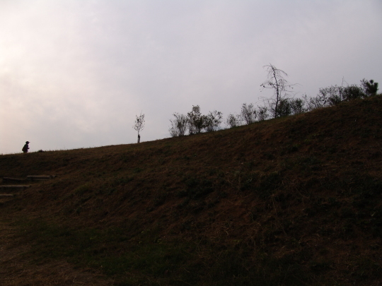 e0369096_23222265.jpg
