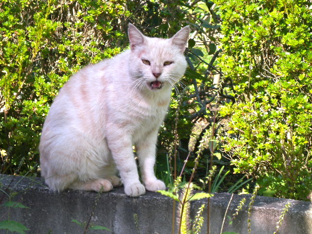 a0199297_01055754.jpg