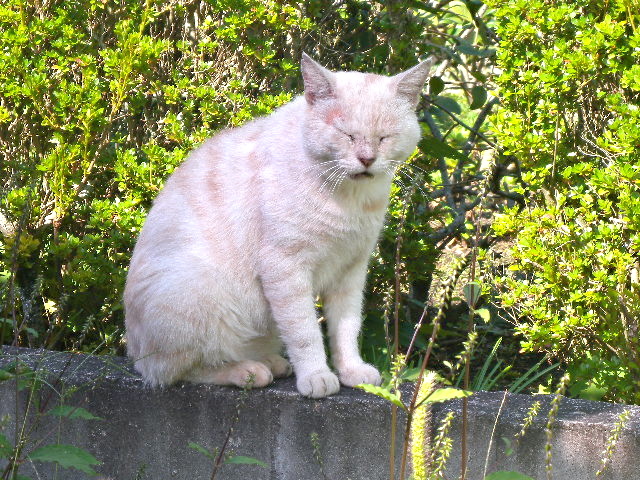 a0199297_01070527.jpg