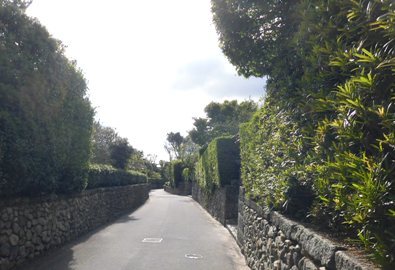 a0236300_21491893.jpg