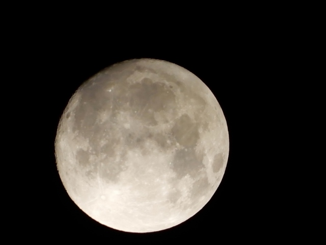 e0025300_084279.jpg