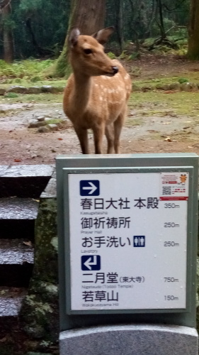 c0218402_11140567.jpg