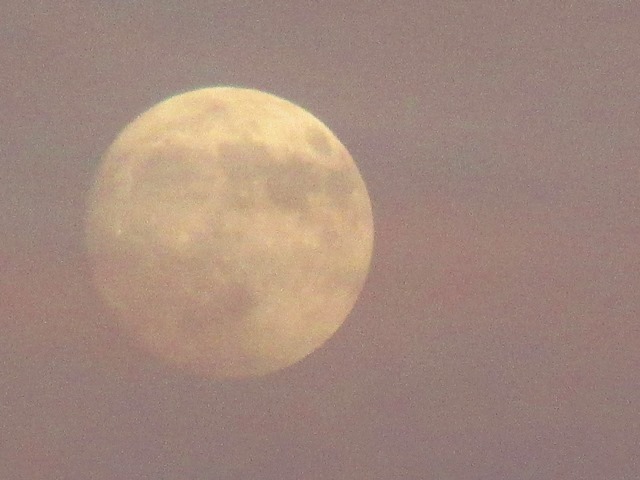 d0147804_00491891.jpg