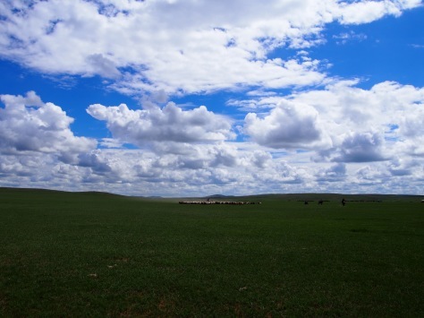 a0080406_15164489.jpg