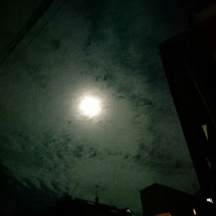 b0314807_09333660.jpg