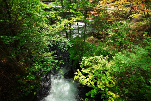 a0263109_20053390.jpg