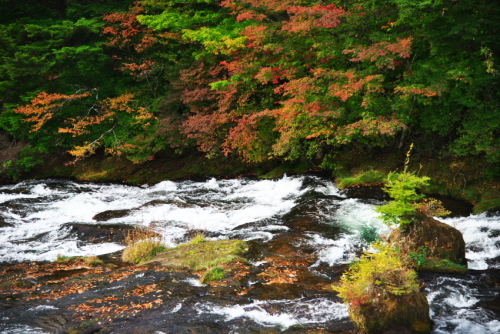 a0263109_20115014.jpg