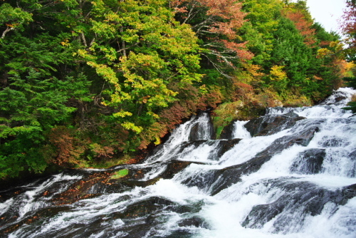 a0263109_20115077.jpg