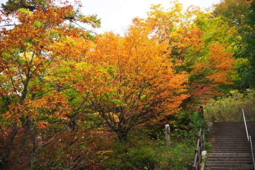 a0263109_20115155.jpg