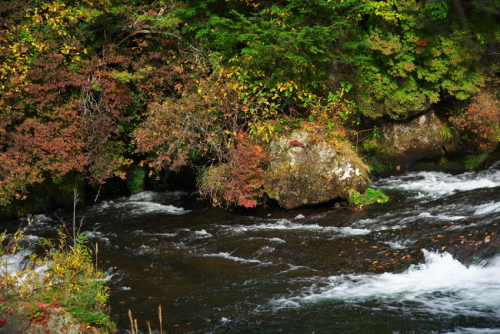 a0263109_20115246.jpg