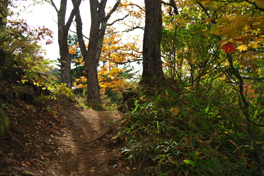a0263109_20122952.jpg