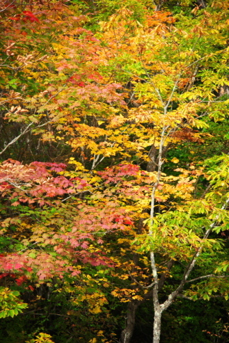 a0263109_20122970.jpg