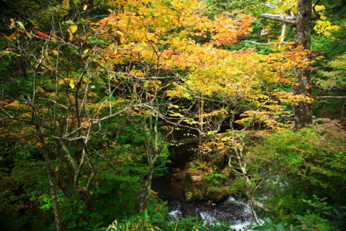 a0263109_20123068.jpg