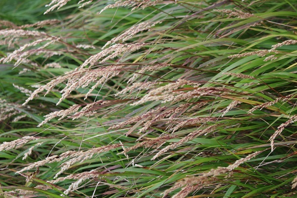c0178009_15502022.jpg