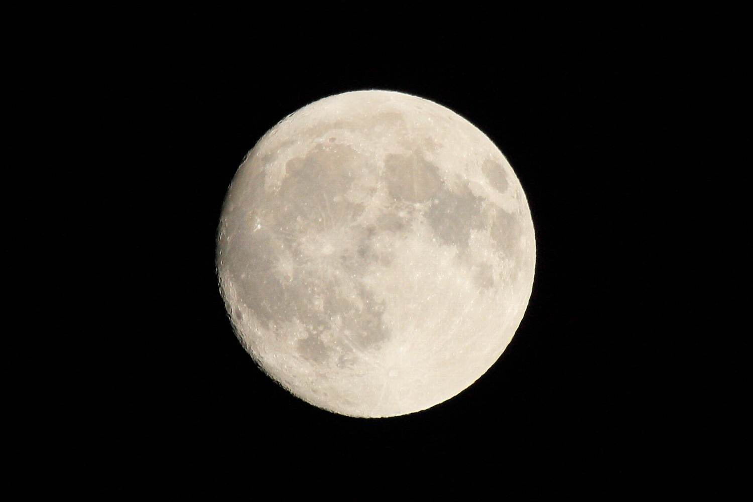 f0349409_16355531.jpg