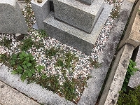 e0363711_12344711.jpg