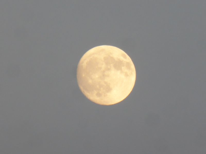 b0057612_20540278.jpg