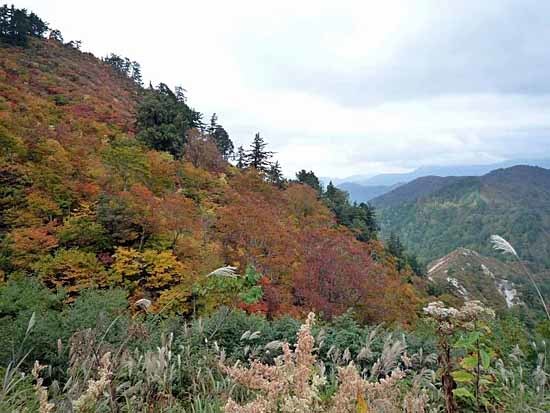 ローカル線で行く信濃・飛騨・金沢の旅（５）10月16日_c0009413_21293540.jpg