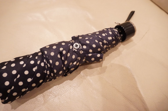 アナログとハイテクの間のジレンマ (傘の集束フック)_d0348118_09265733.jpeg