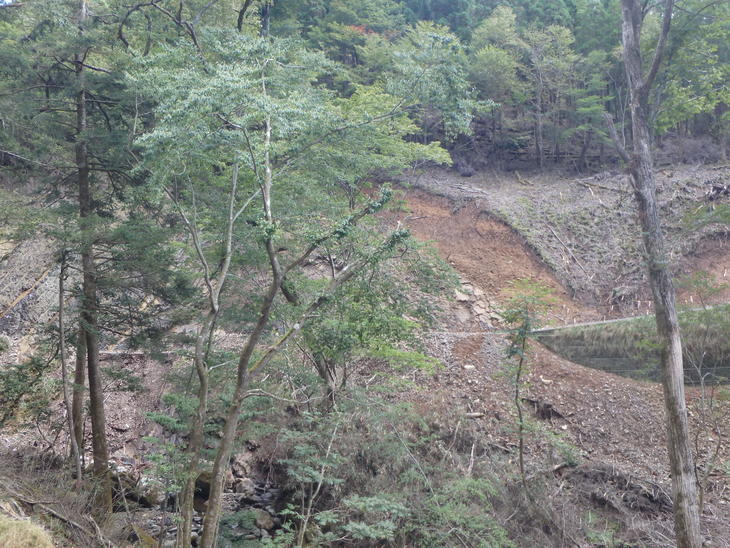 f0193521_19324216.jpg