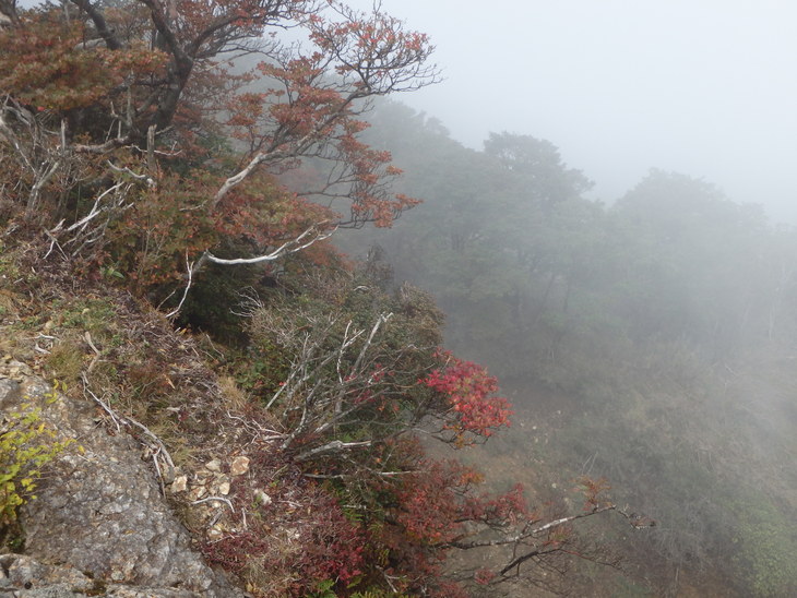 親父山～障子岳_f0193521_1975757.jpg