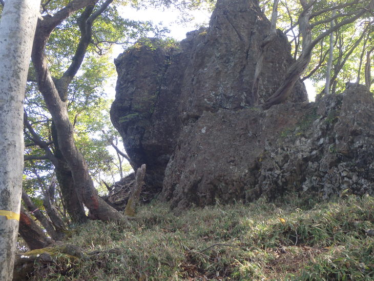 f0193521_8532486.jpg