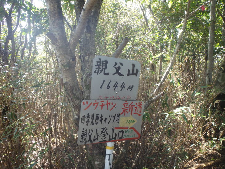 f0193521_924914.jpg