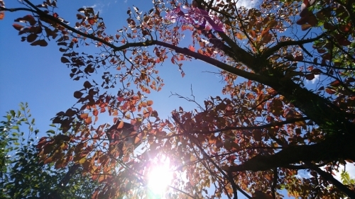 f0339422_08402222.jpg