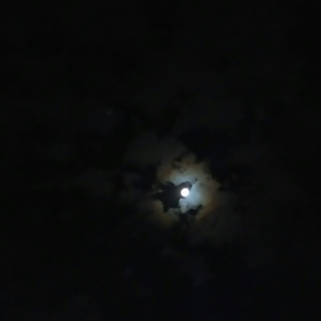 a0169924_21575230.jpg