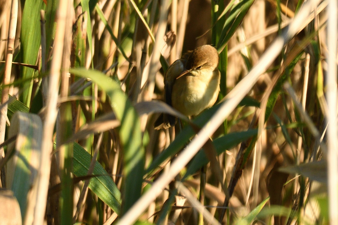e0037126_23031616.jpg