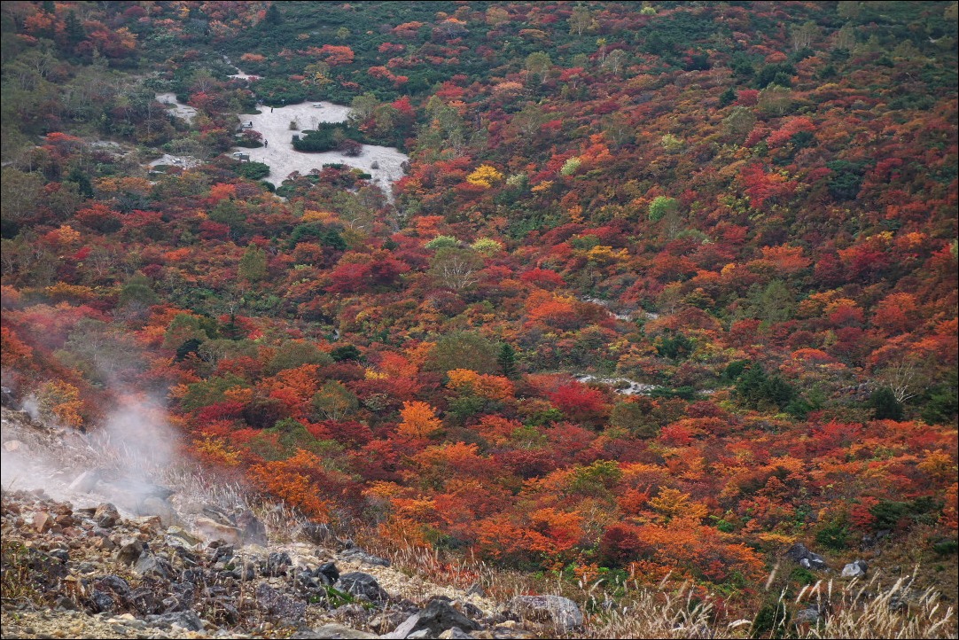 那須・姥ヶ平周辺の紅葉_d0137627_0282011.jpg