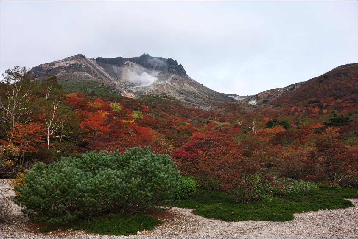 那須・姥ヶ平周辺の紅葉_d0137627_0344890.jpg