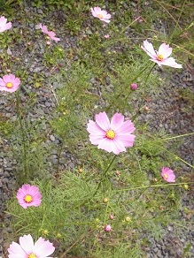 f0361027_23283043.jpg