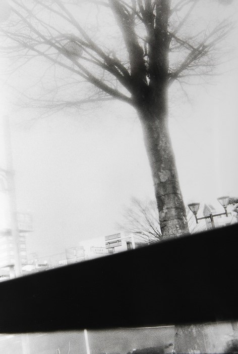 c0381632_19582248.jpg