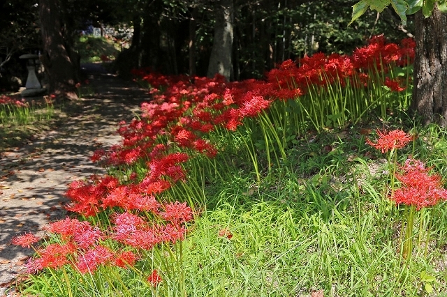 a0242438_22111714.jpg
