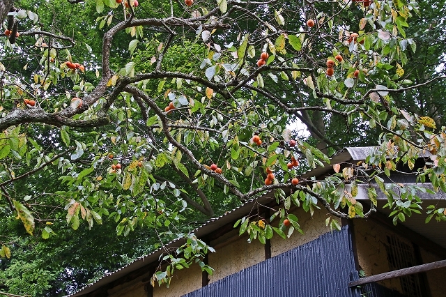 a0242438_22111838.jpg
