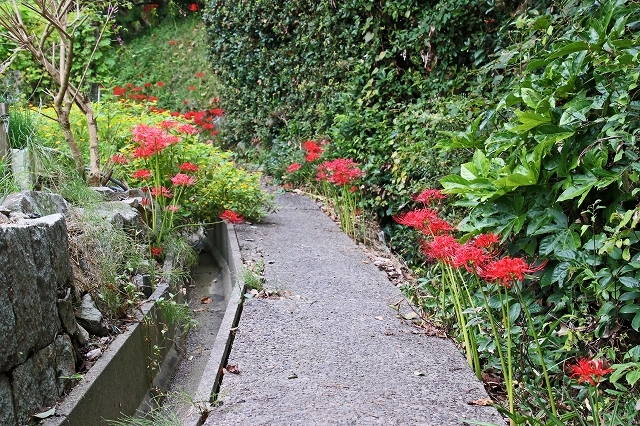 a0242438_22114028.jpg