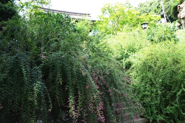 c0236843_20494630.jpg