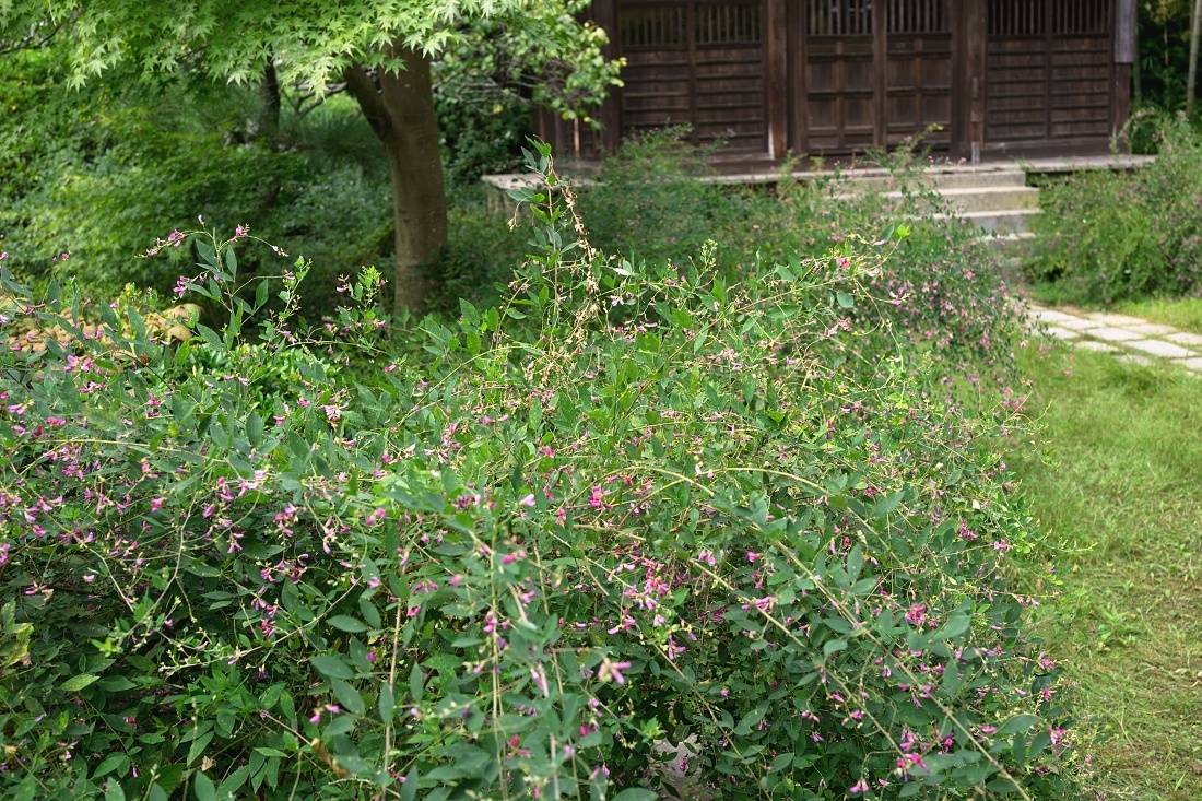 c0236843_20533954.jpg