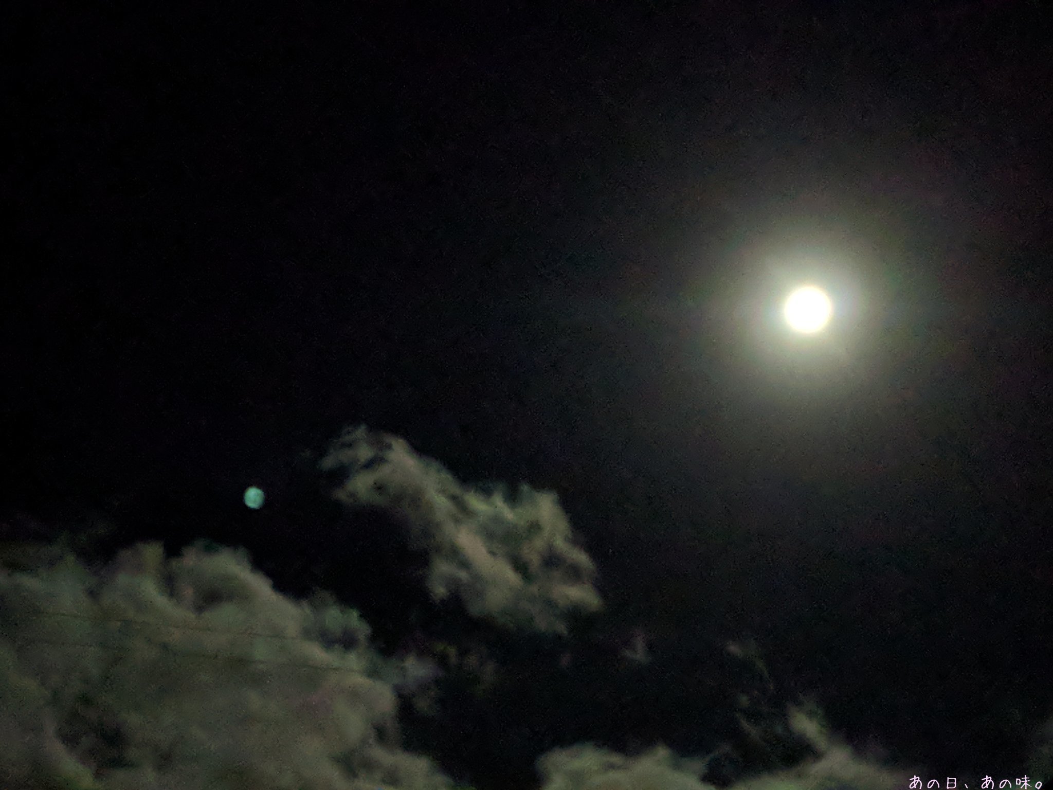 a0305046_10325693.jpg