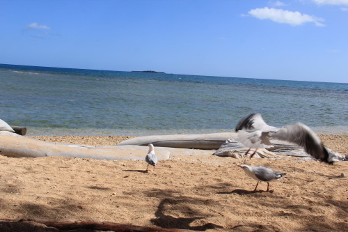 c0011649_01301602.jpg