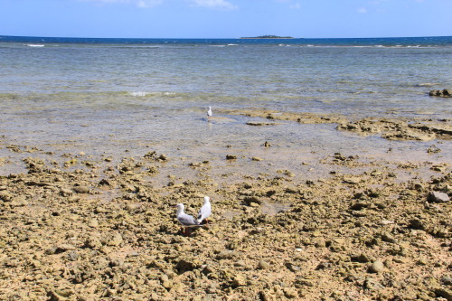 c0011649_01314105.jpg