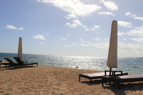 c0011649_01323454.jpg